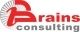 BRAINS CONSULTING